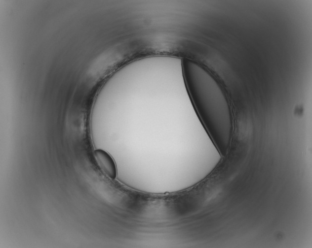 X0000113870740200910151300