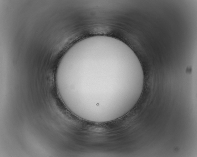 X0000113870743200910151300