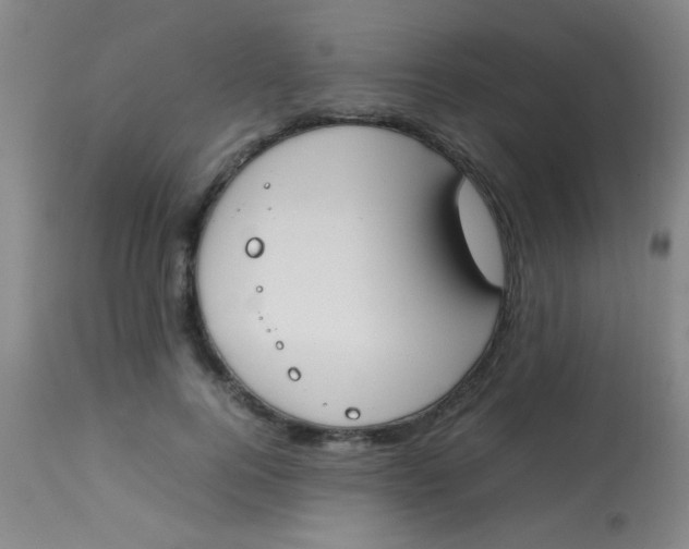 X0000113870744200910151300