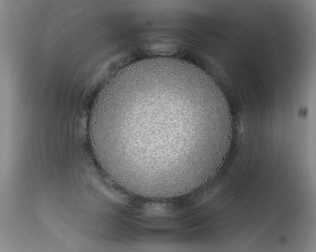 X0000113870745200910151300