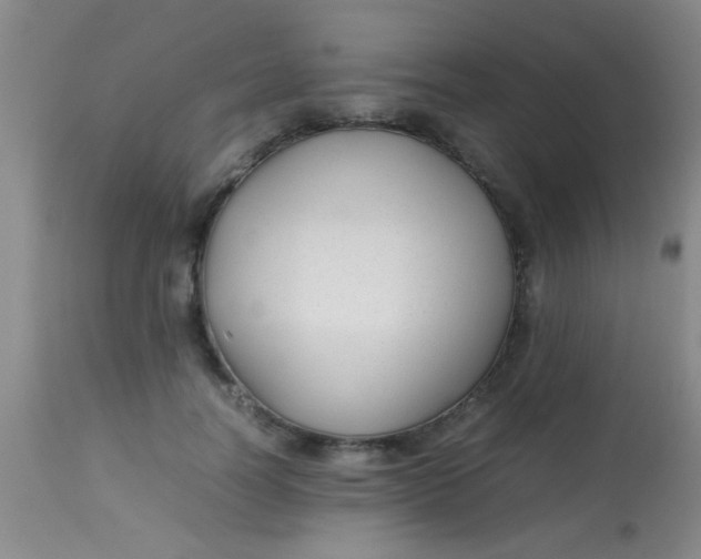 X0000113870746200910151300