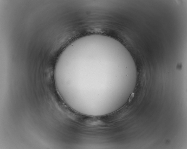 X0000113870747200910151300