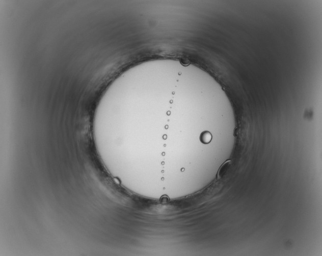 X0000113870748200910151300