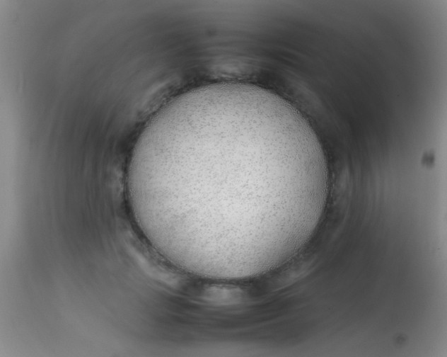 X0000113870749200910151300