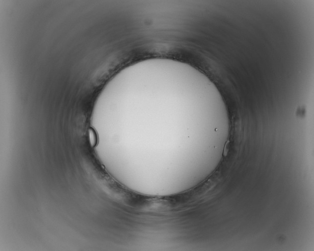 X0000113870750200910151300