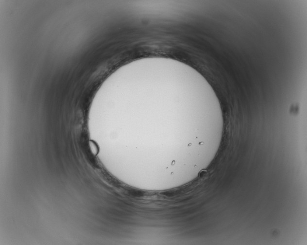 X0000113870752200910151300