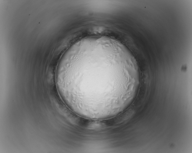 X0000113870754200910151300