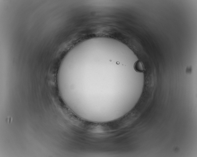 X0000113870755200910151300