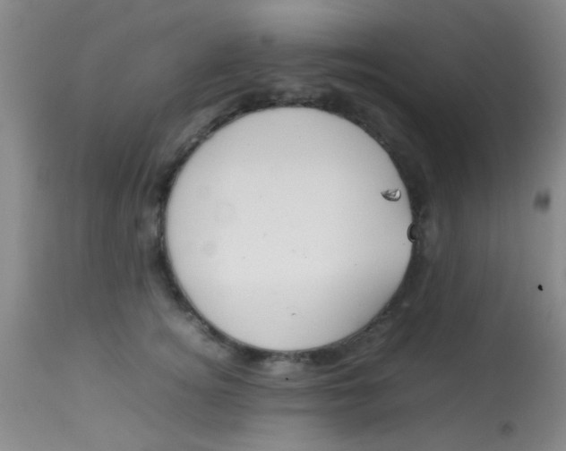 X0000113870756200910151300