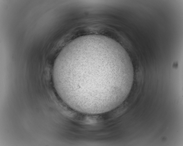 X0000113870757200910151300