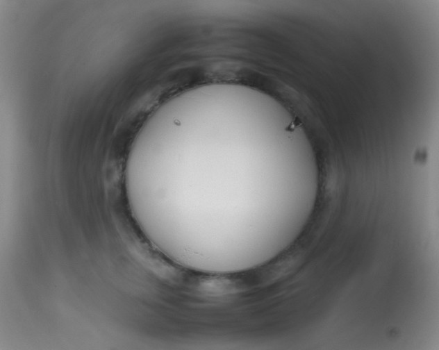 X0000113870759200910151300