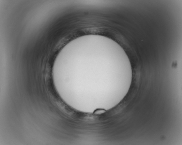 X0000113870760200910151300