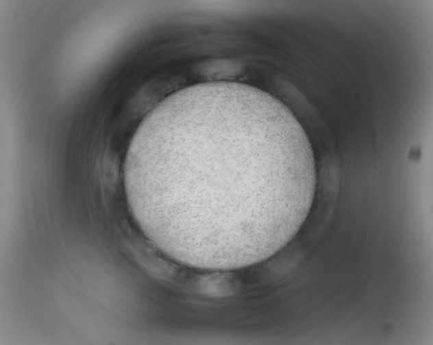 X0000113870761200910151300