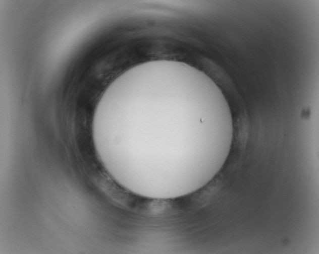 X0000113870762200910151300