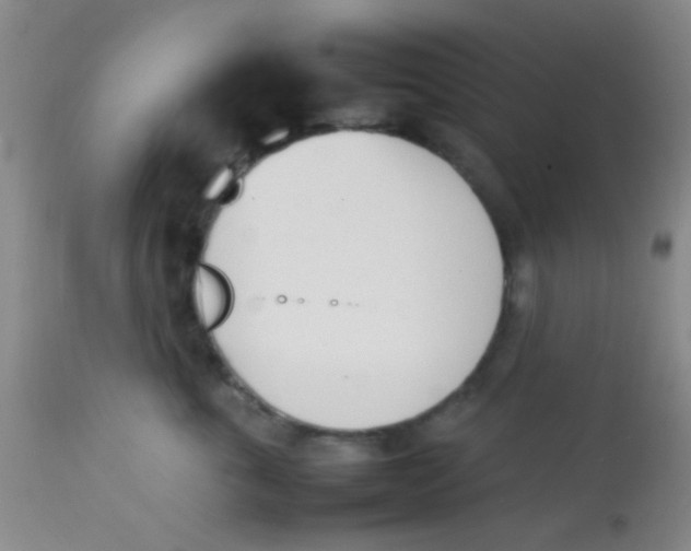 X0000113870763200910151300