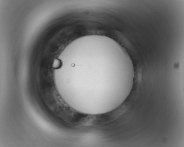 X0000113870764200910151300