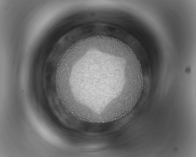 X0000113870765200910151300