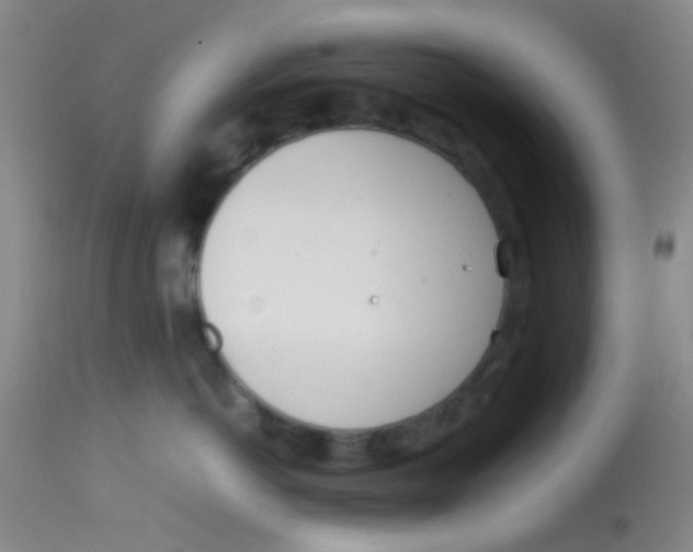 X0000113870766200910151300