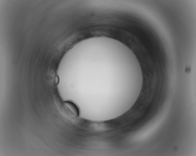 X0000113870767200910151300