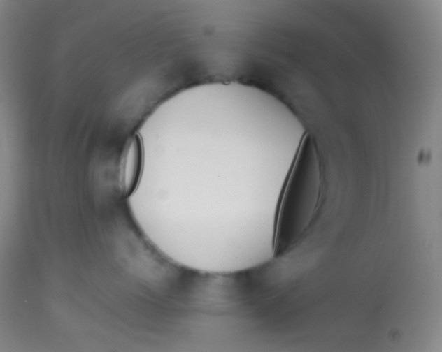 X0000113870768200910151300