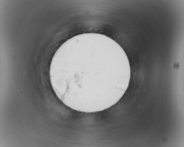 X0000113870769200910151300