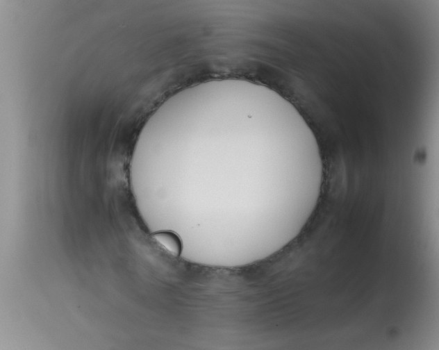 X0000113870770200910151300