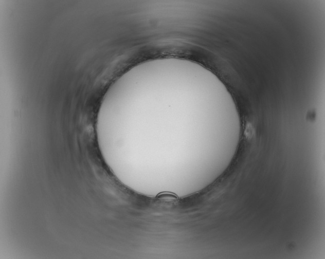 X0000113870771200910151300