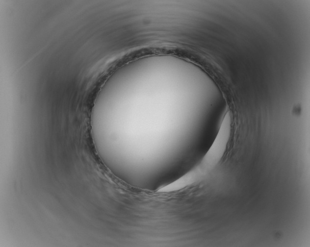 X0000113870773200910151300