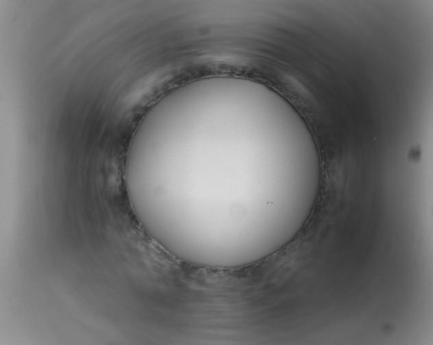 X0000113870774200910151300