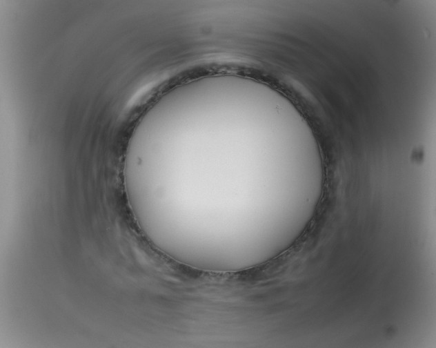 X0000113870775200910151300