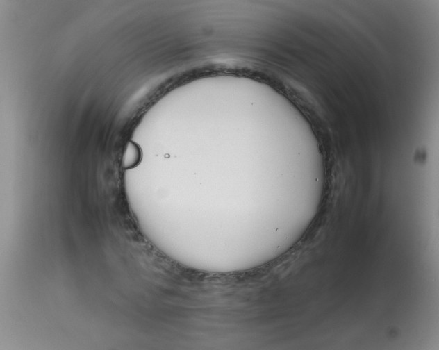 X0000113870776200910151300