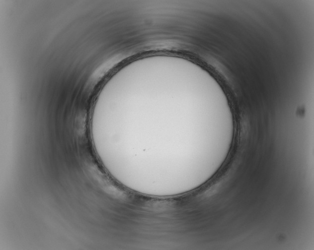 X0000113870778200910151300