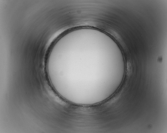 X0000113870780200910151259