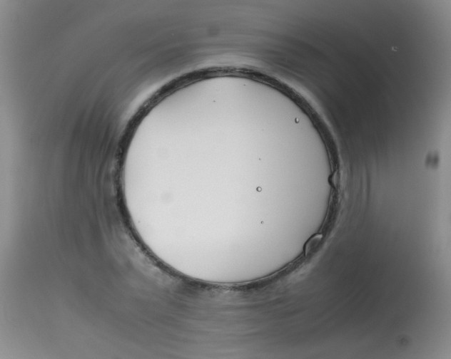 X0000113870783200910151259