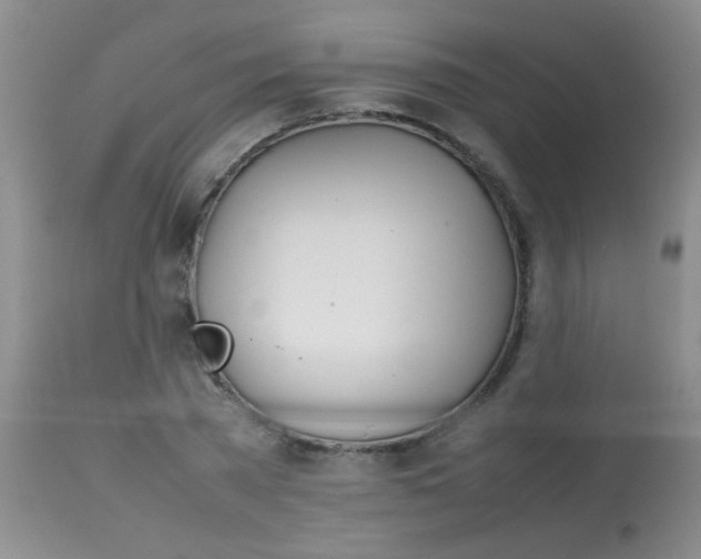 X0000113870785200910151259