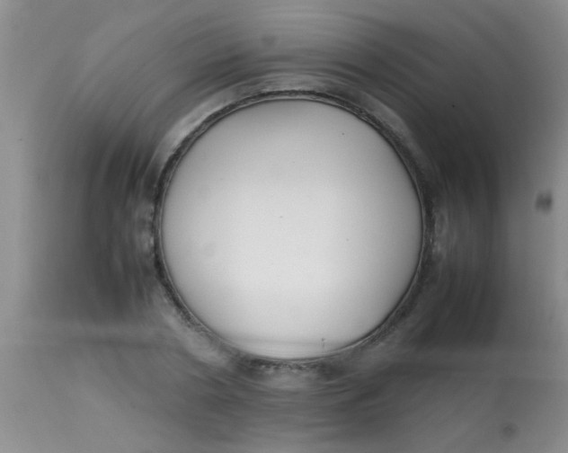 X0000113870786200910151259