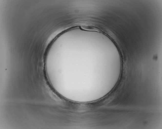 X0000113870787200910151259