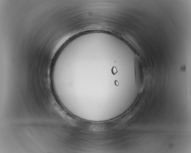 X0000113870788200910151259