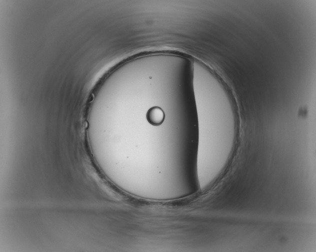 X0000113870789200910151259