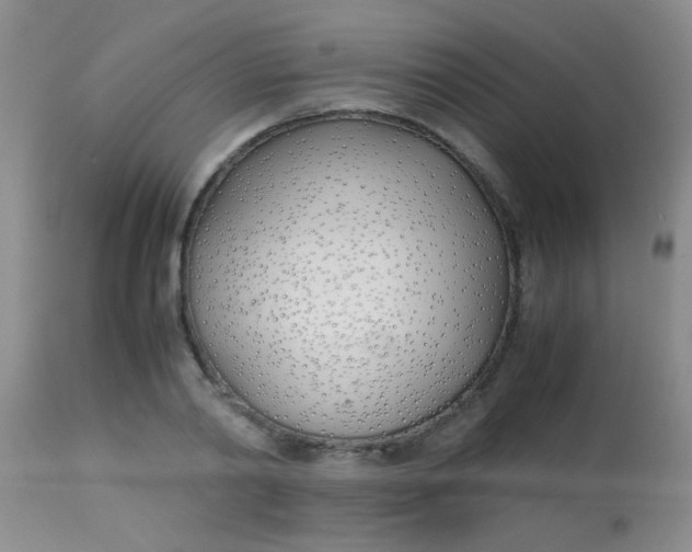 X0000113870790200910151259