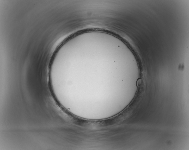 X0000113870791200910151259