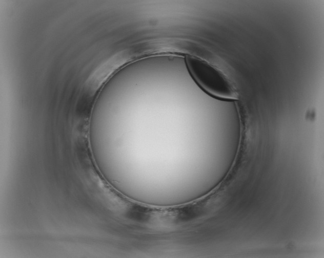 X0000113870793200910151259