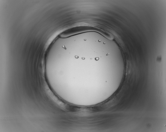 X0000113870796200910151259