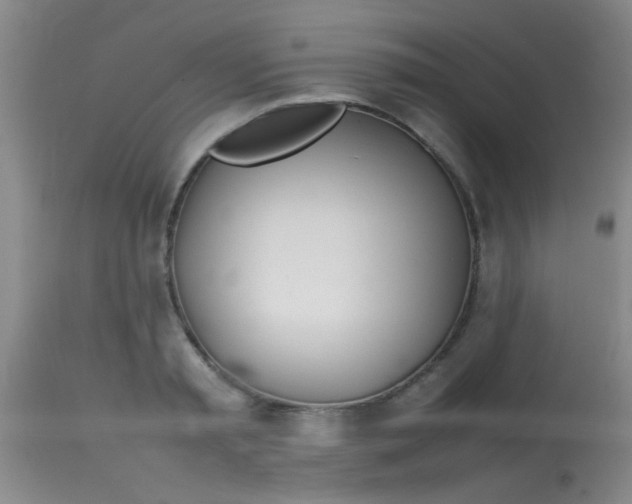 X0000113870797200910151259