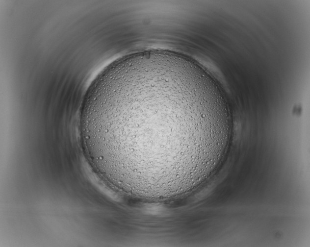 X0000113870798200910151259