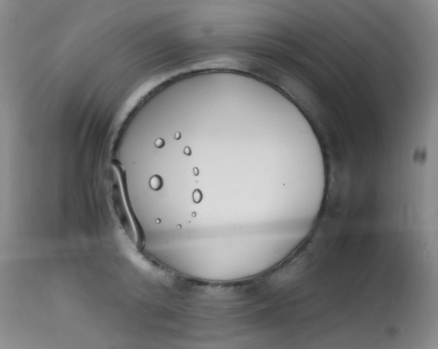 X0000113870800200910151259