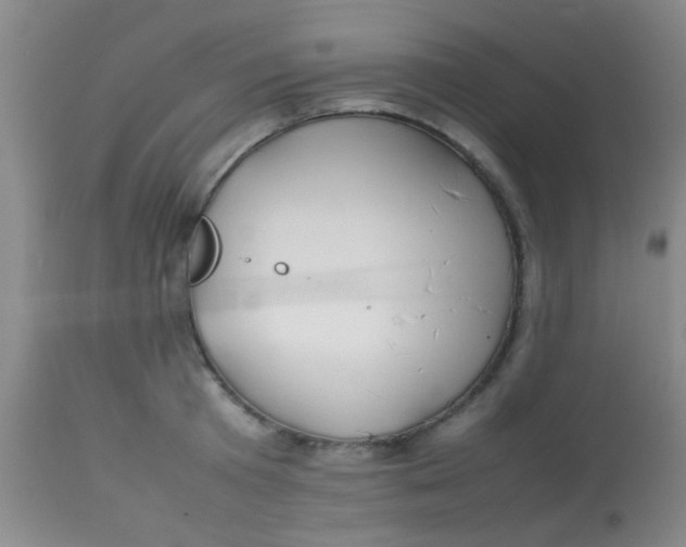 X0000113870801200910151259