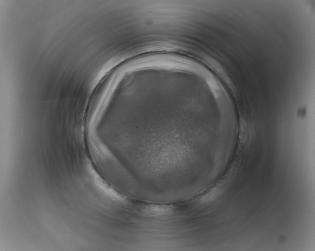 X0000113870802200910151259