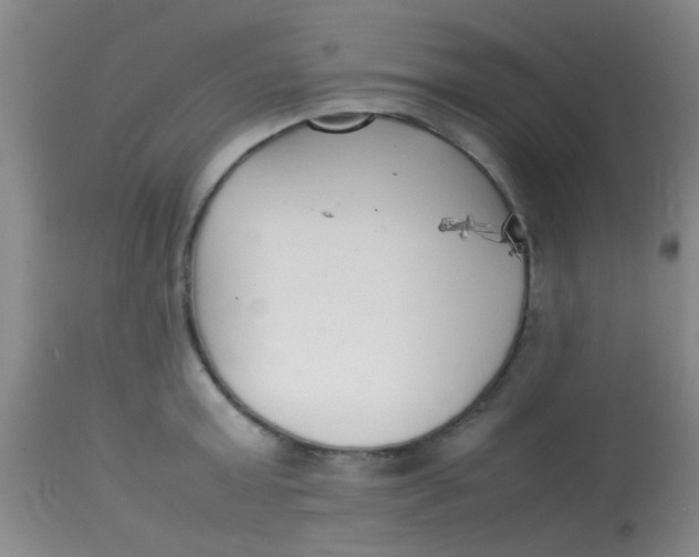 X0000113870803200910151259