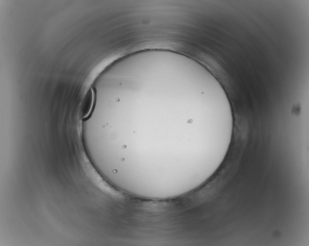 X0000113870804200910151259